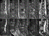 Figure 11:
