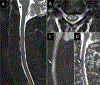 Figure 19: