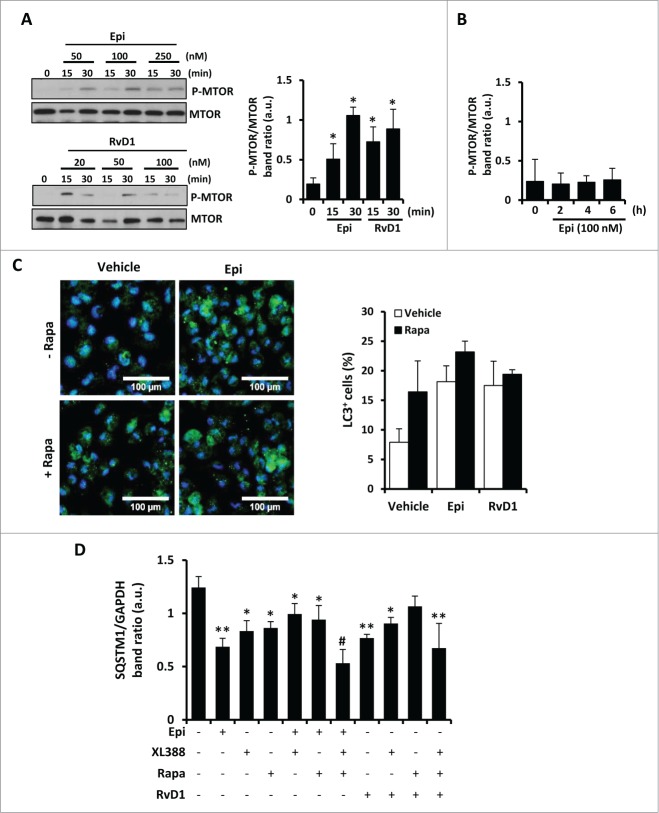 Figure 5 (See previous page).