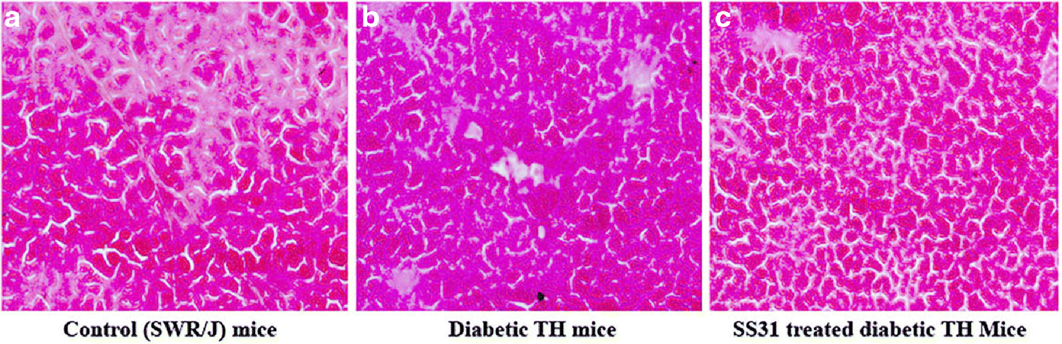 Figure 5. (A-C):