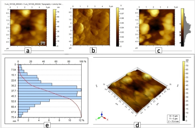 Fig. 4