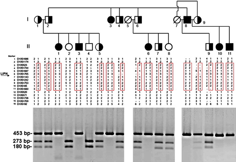 Figure 1