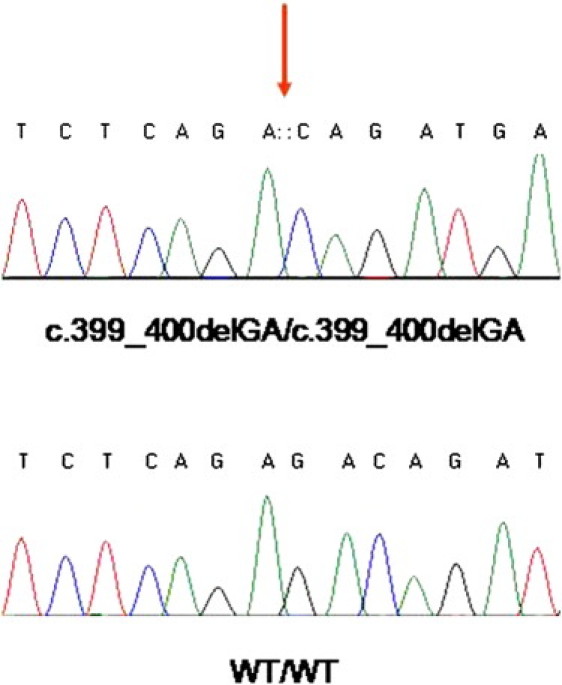 Figure 4