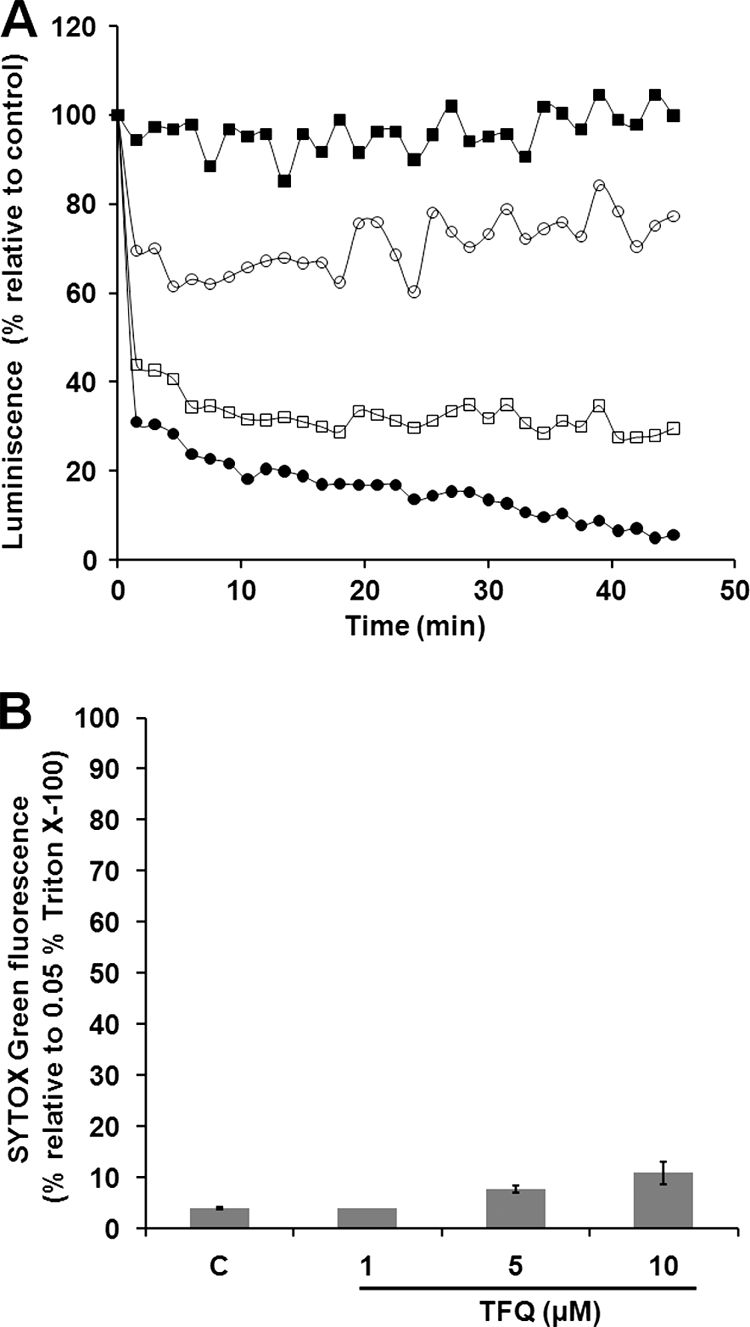 FIG. 1.