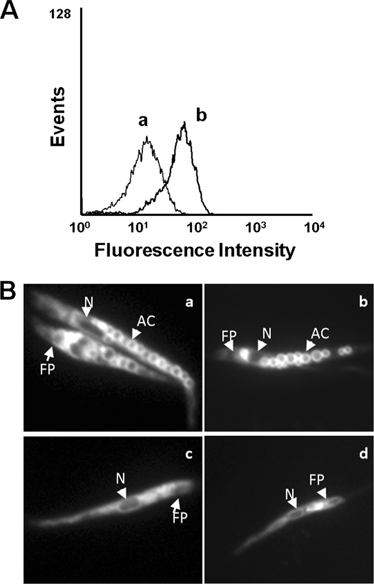 FIG. 6.