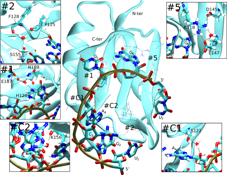 Figure 3.