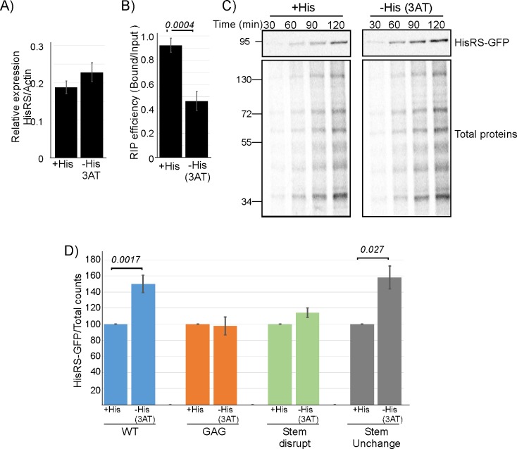 Fig 6