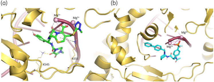 Figure 5.