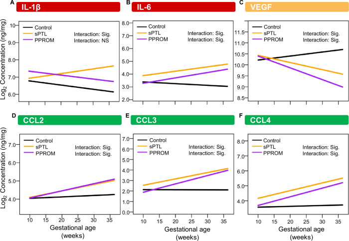 Figure 6—figure supplement 2.