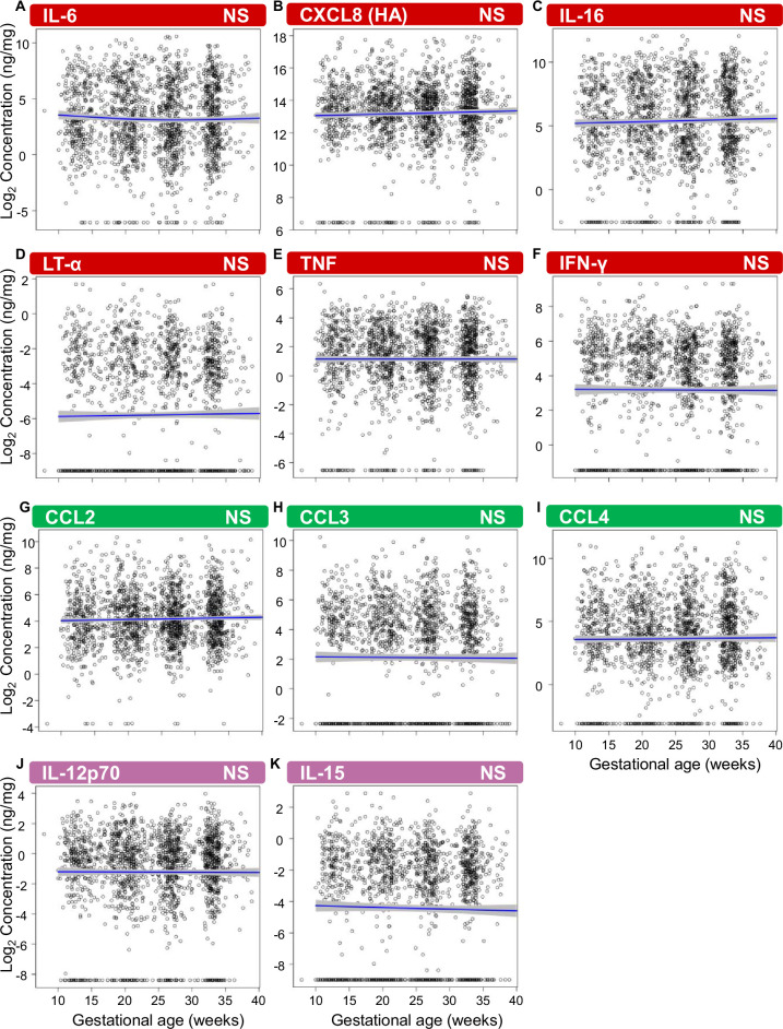 Figure 2—figure supplement 1.