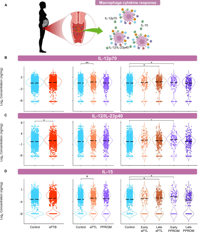 Figure 4—figure supplement 1.