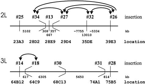 FIG. 2.