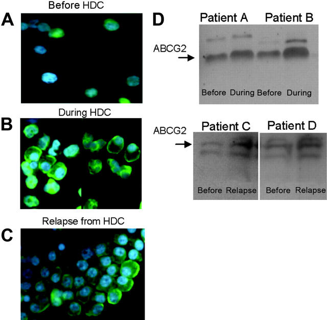 Figure 6.