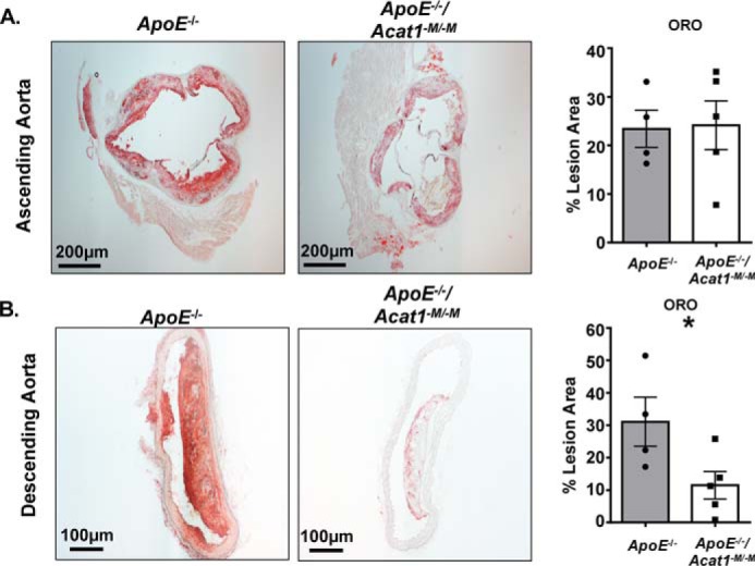 Figure 9.