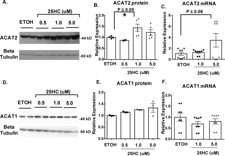 Figure 12.