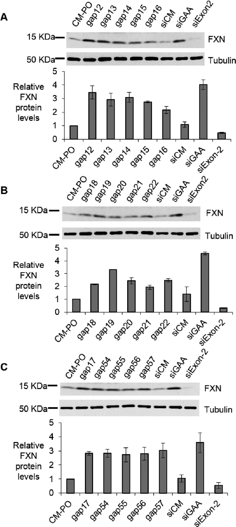 Figure 2.