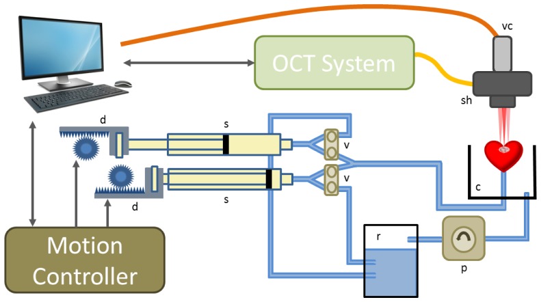 Fig. 1