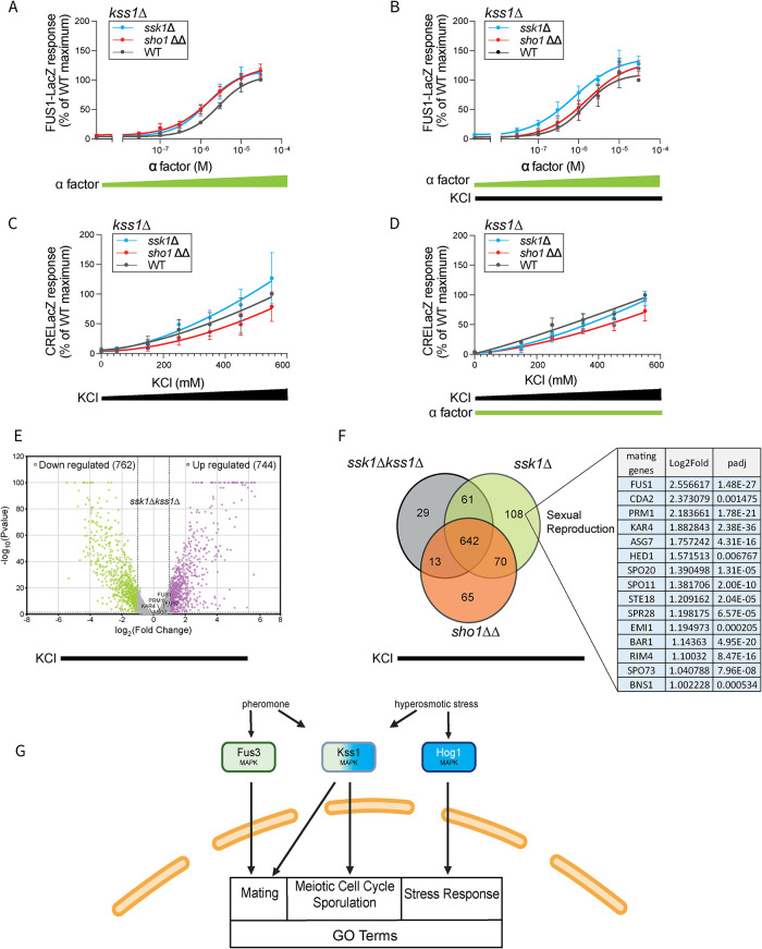 FIGURE 7: