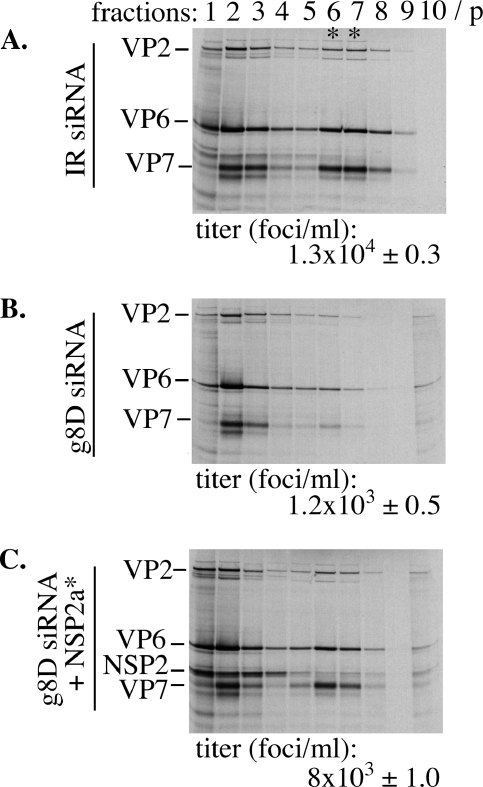 FIG. 6.