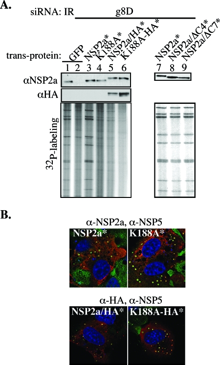 FIG. 7.