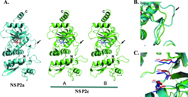 FIG. 2.