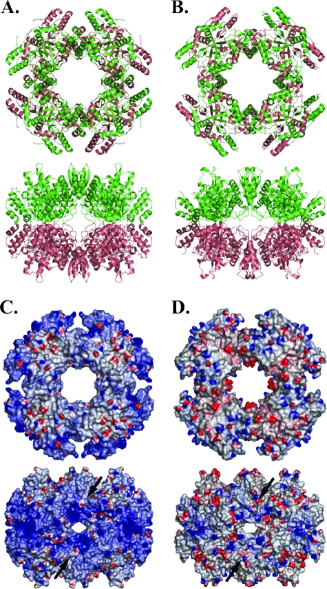 FIG. 3.