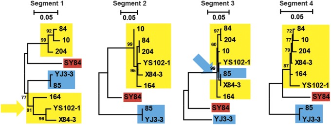 Fig. 4.