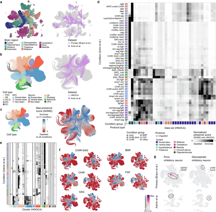 Extended Data Fig. 9