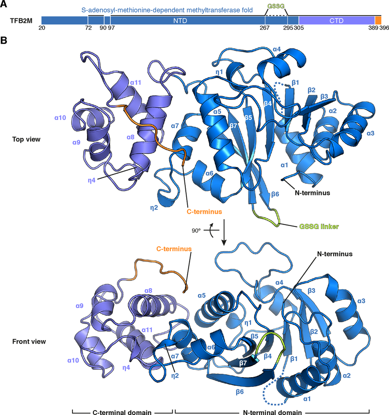 Figure 1 |