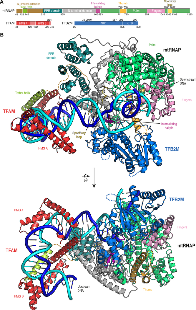 Figure 2 |