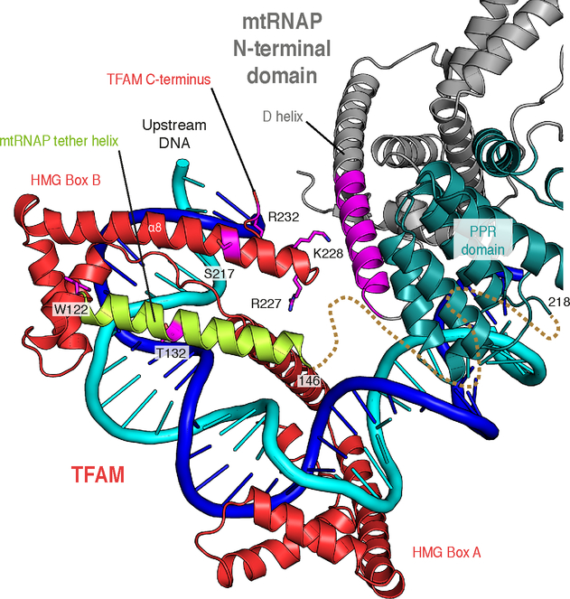 Figure 4 |