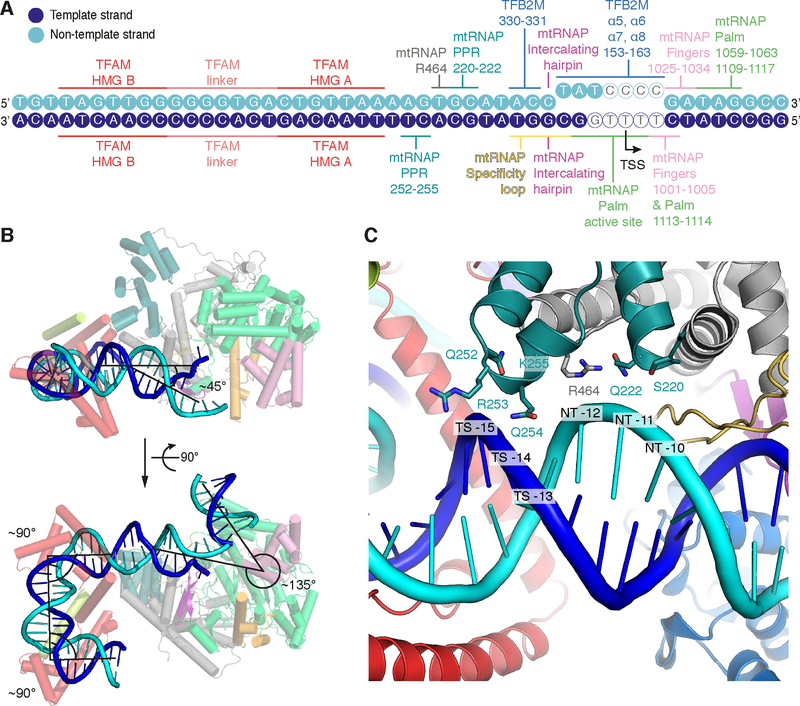 Figure 3 |