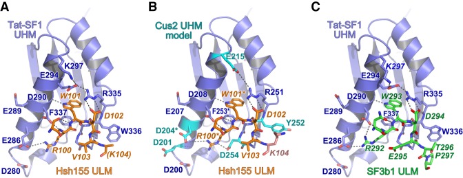 FIGURE 4.