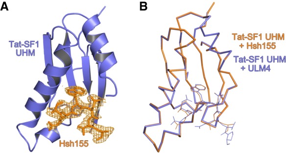 FIGURE 3.