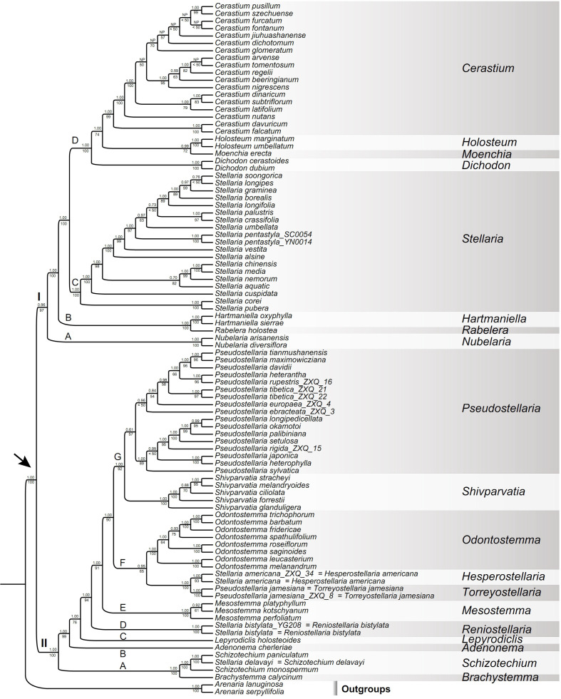 Figure 4