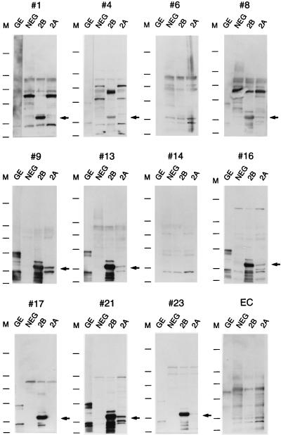 FIG. 7