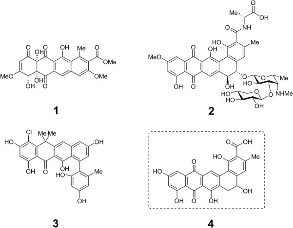 Fig 1