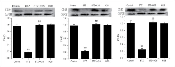 Figure 4.