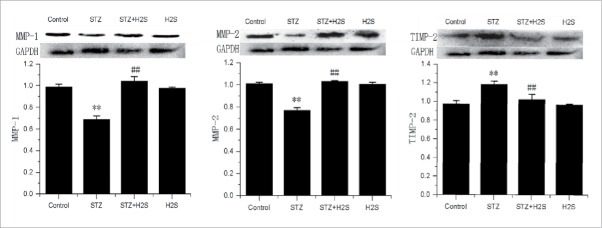 Figure 5.