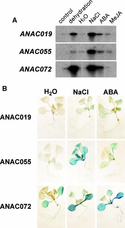 Figure 10.