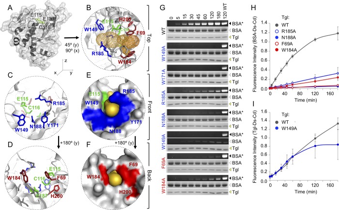 Fig 3