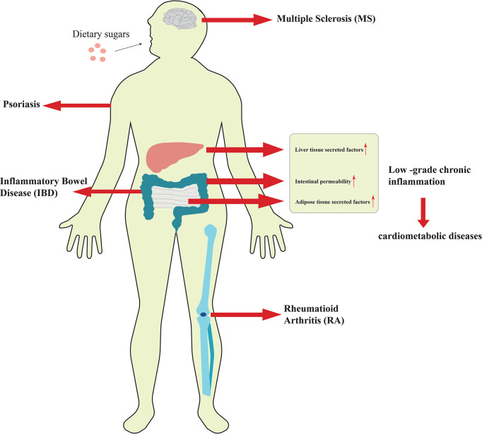 Figure 1