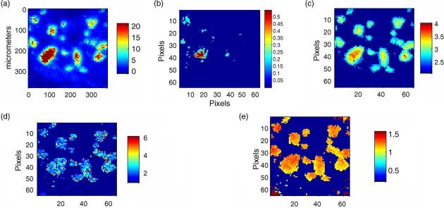 Fig. 3