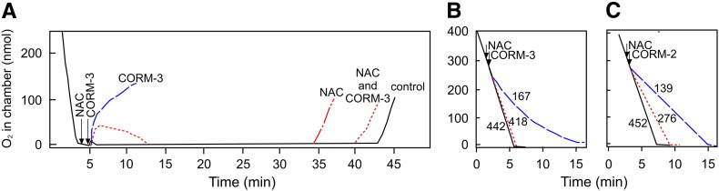 Fig. 7