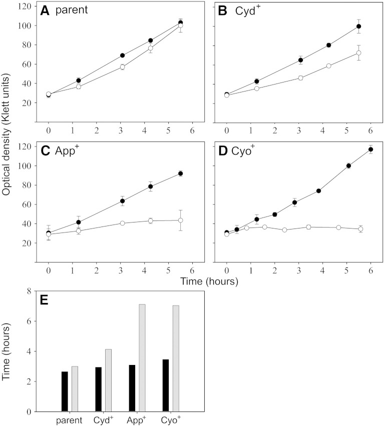 Fig. 3