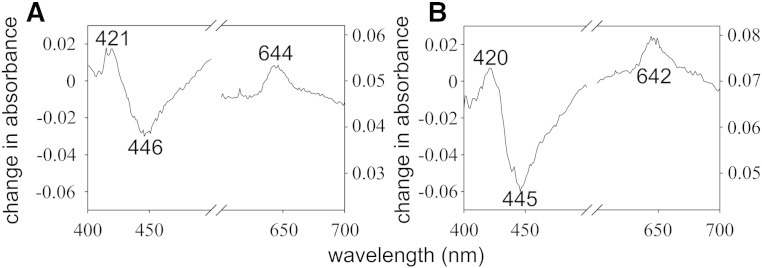 Fig. 8