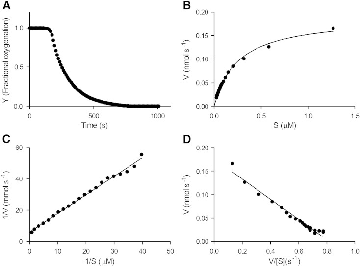 Fig. 6