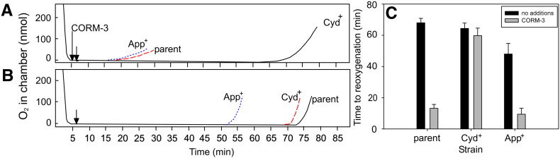 Fig. 4