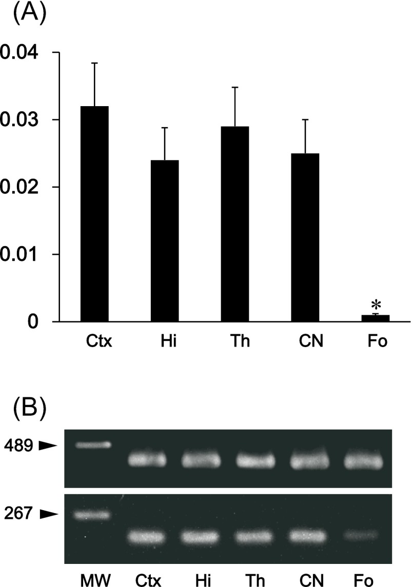 Fig. 6