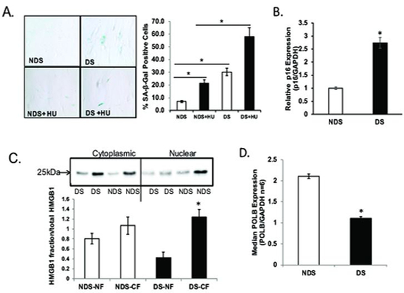 Figure 1: